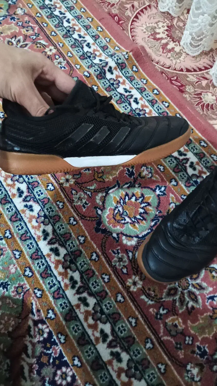 کفش سالن|کیف، کفش، کمربند|شاهین دژ, |دیوار