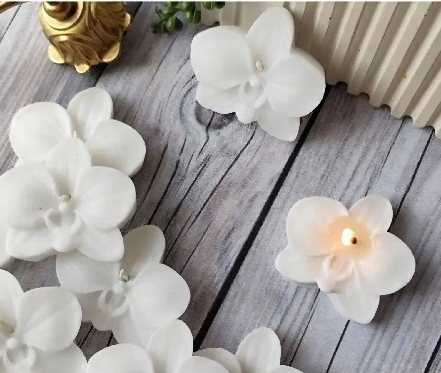 شمع ارکیده و انواع شمع های مختلف|صنایع دستی و سایر لوازم تزئینی|تهران, وحیدیه|دیوار