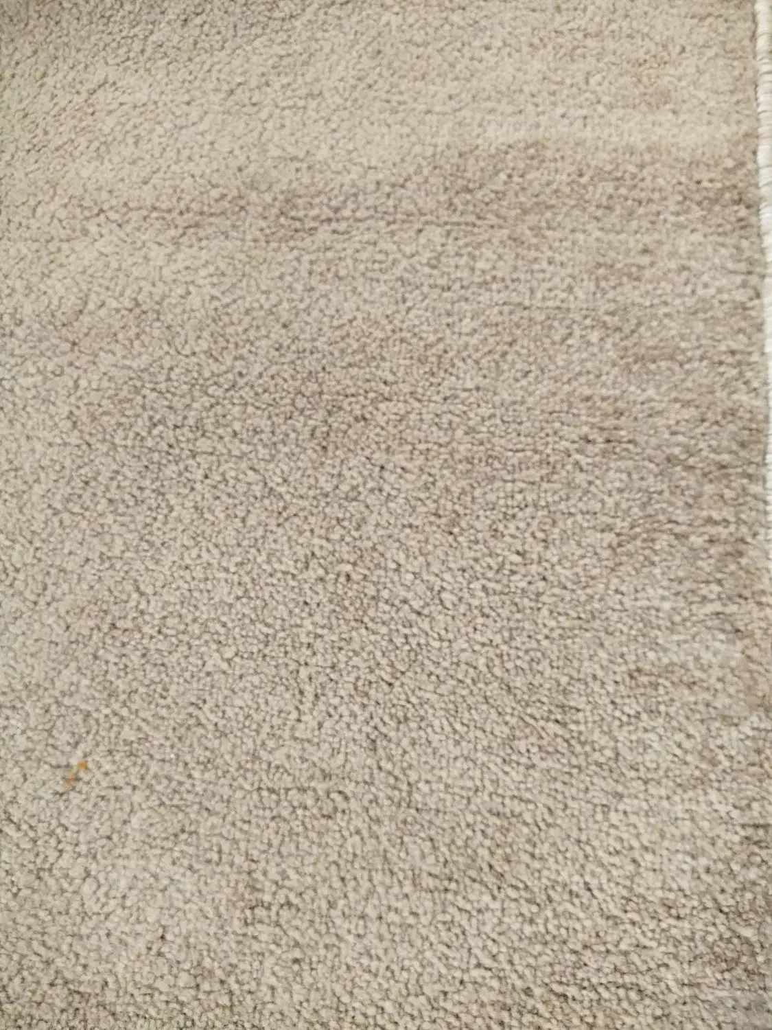 پالاز 2/70در2/5|موکت|یاسوج, |دیوار