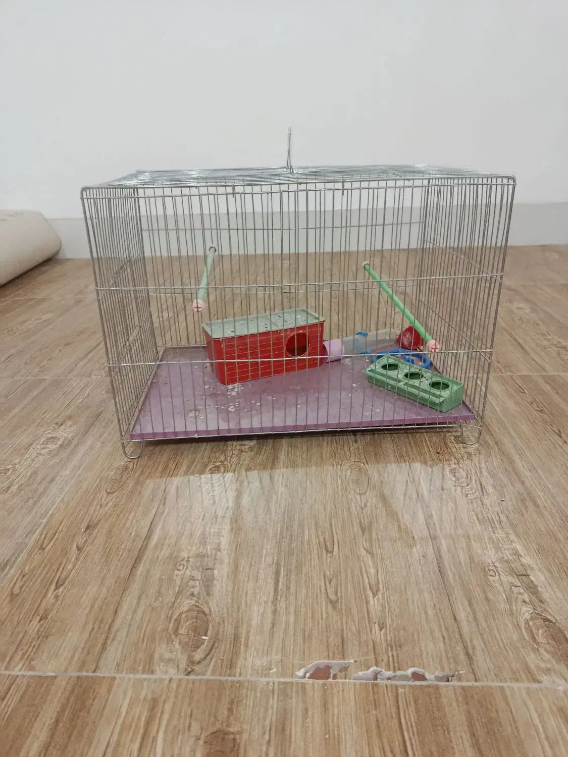 قفس|لوازم جانبی حیوانات|بهمن صغاد, |دیوار