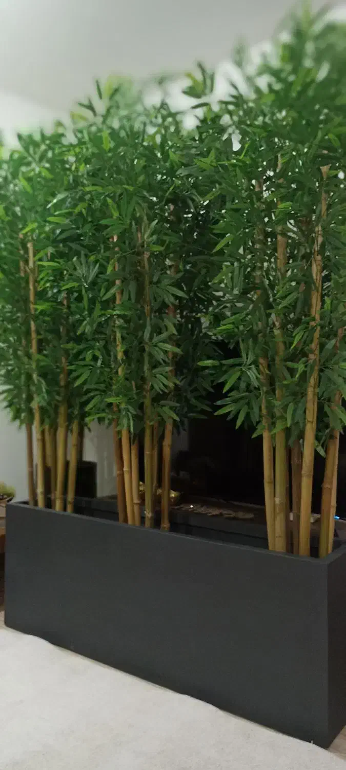 تولید درختچه های بامبو در سایزهای ۱۳۰تا۲۲۰سانتی|گل مصنوعی|رشت, کوی حسینی|دیوار