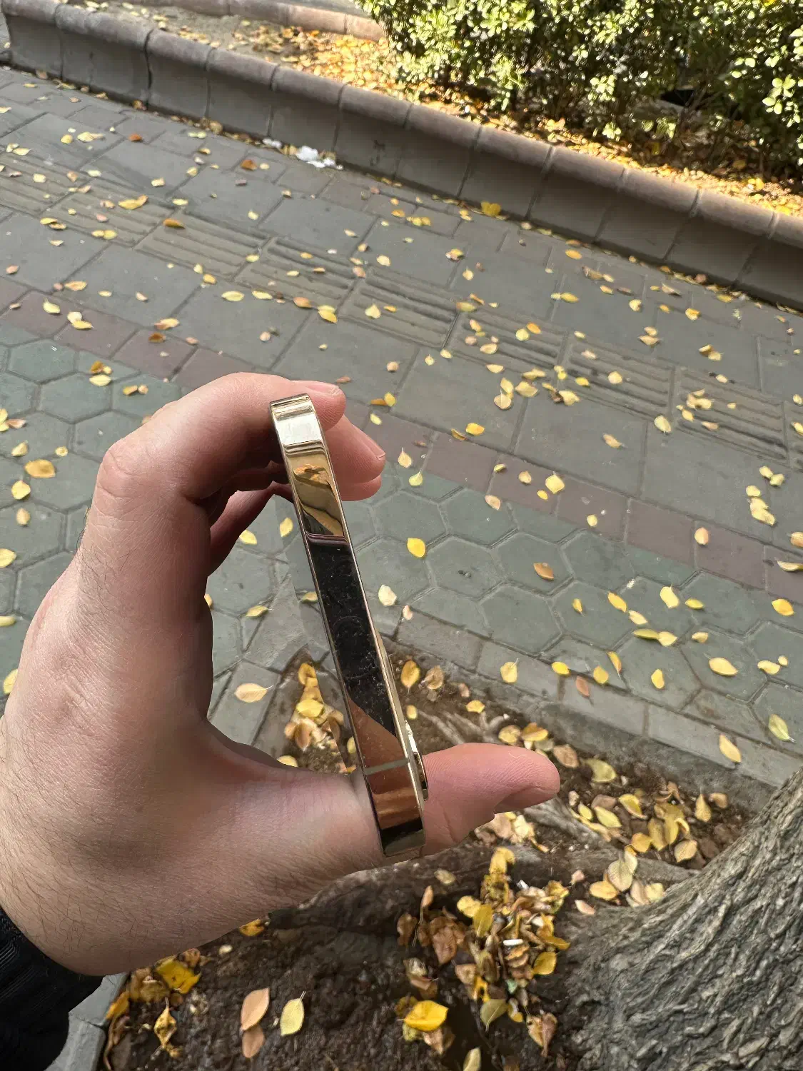 آیفون ۱۲ پرومکس ۲۵۶گیگ|موبایل|تبریز, |دیوار