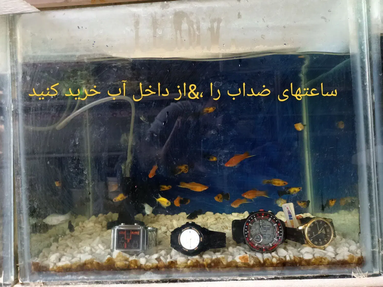 ساعتهای اسکیمی اصل ضد اب تا30متر|ساعت|الوند, |دیوار