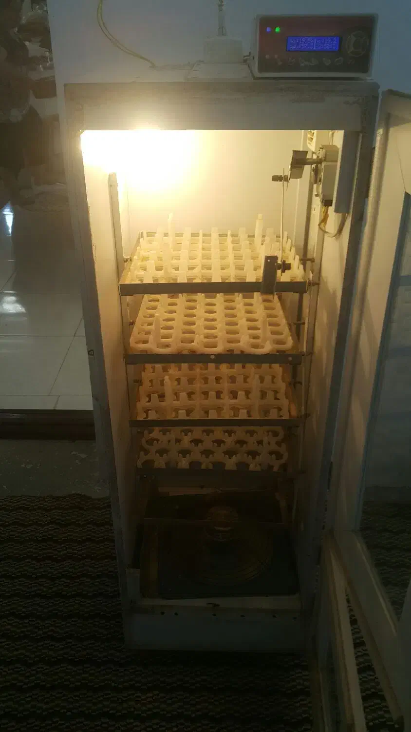 دستگاه جوجه کشی|لوازم جانبی حیوانات|آشخانه, |دیوار