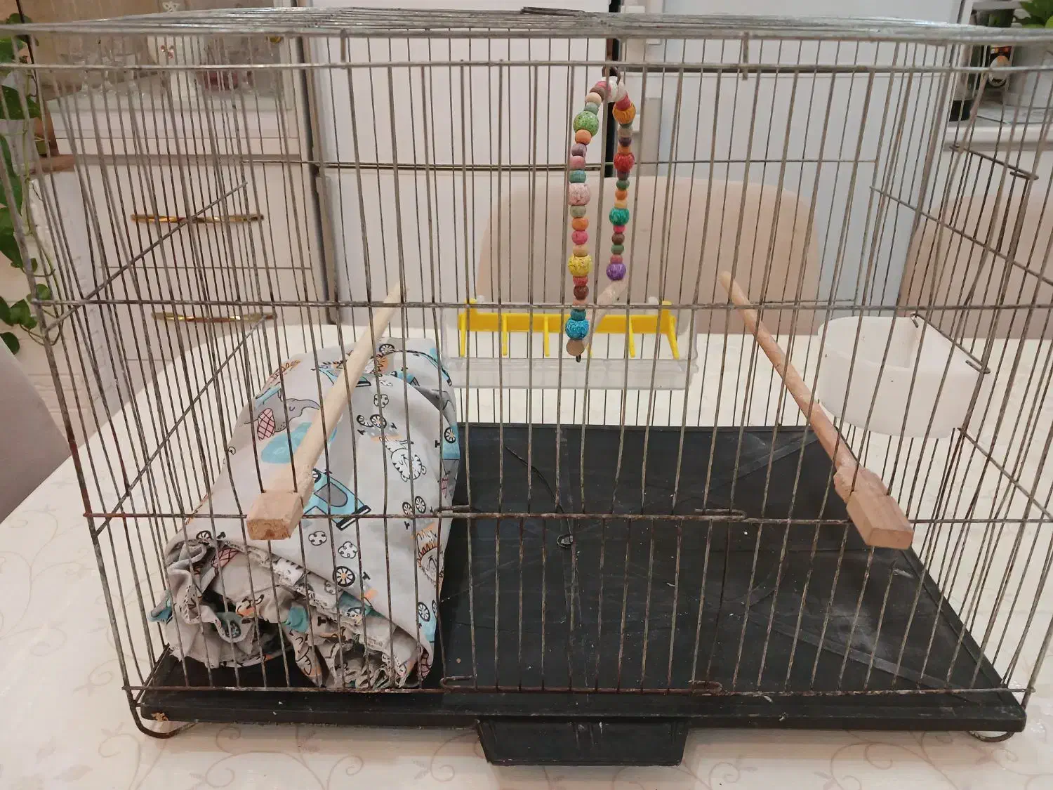 فروش قفس پرنده با تمام وسایل سایزبزرگ|لوازم جانبی حیوانات|رشت, نیروی دریایی|دیوار