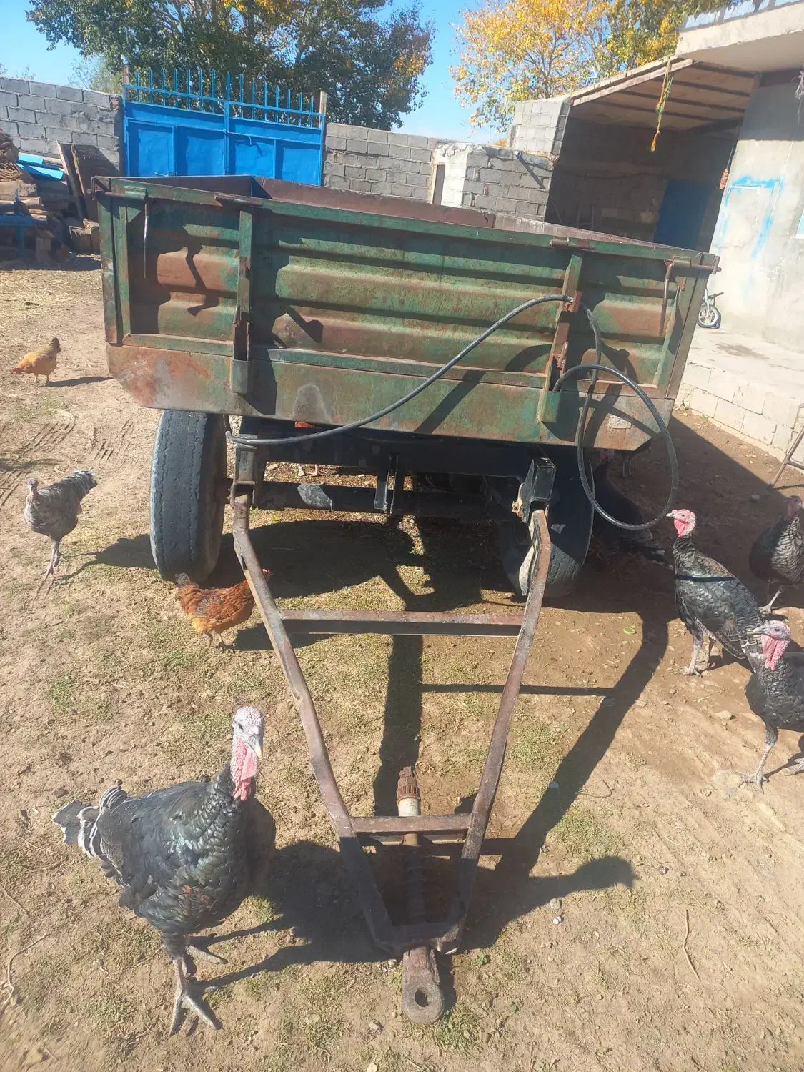 تراکتور|قطعات یدکی و لوازم جانبی|بستان آباد, |دیوار