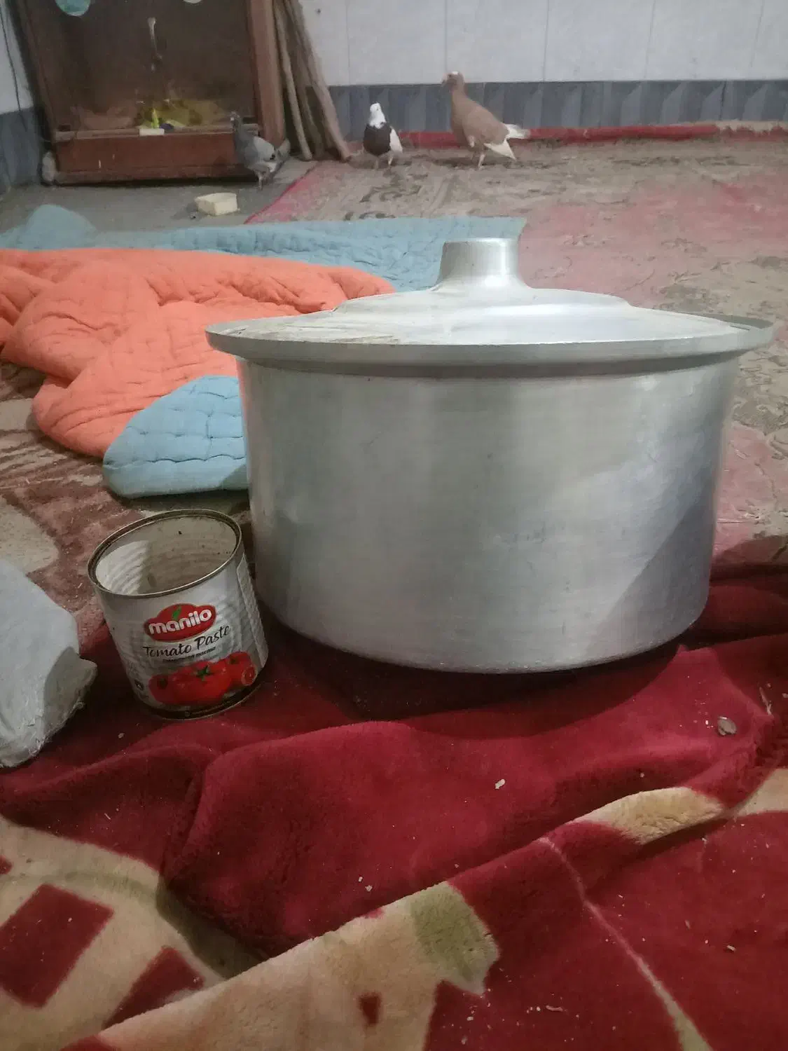 فروشی 3 دانه قیمت 3 میلیون|ظروف پختوپز|تربت جام, میان جام|دیوار