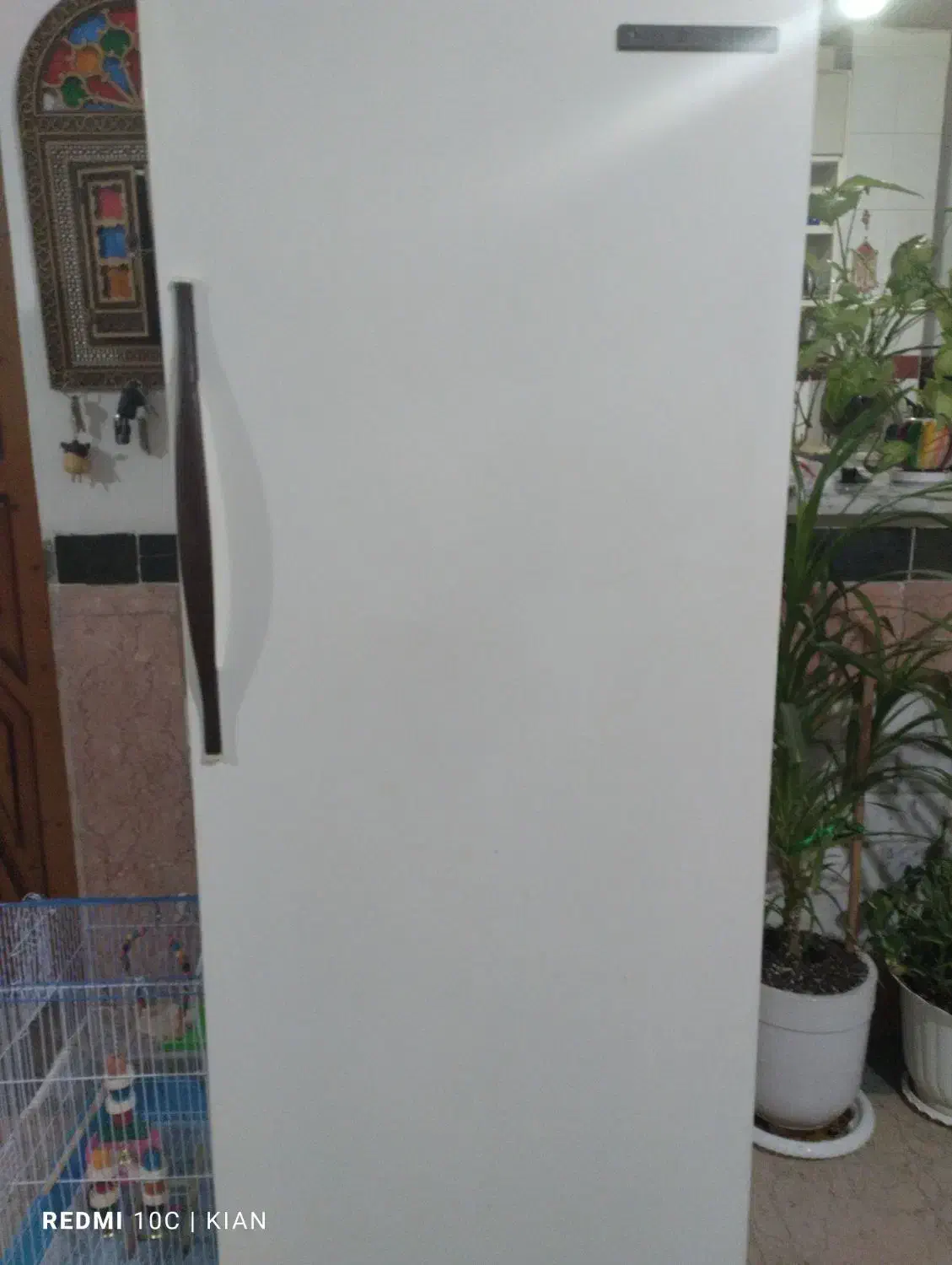 فریزر|یخچال و فریزر|سمنان, |دیوار