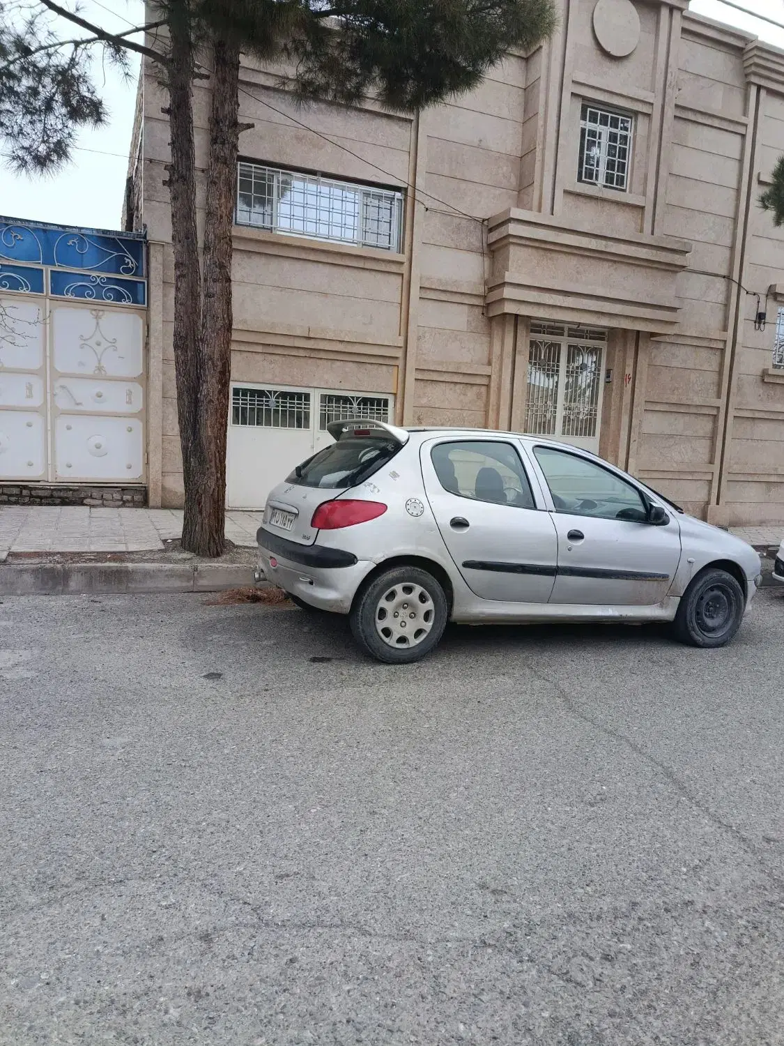206مدل 1381|خودرو سواری و وانت|تربت‌حیدریه, شهرک ولیعصر|دیوار