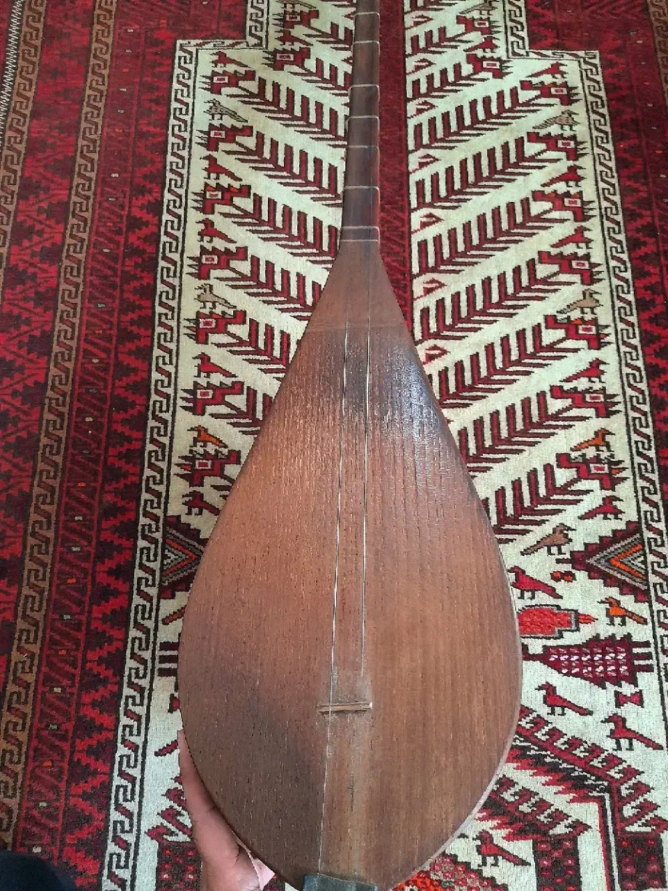 دوتار کاسه بزرگ|سازهای سنتی|تربت جام, جامی|دیوار
