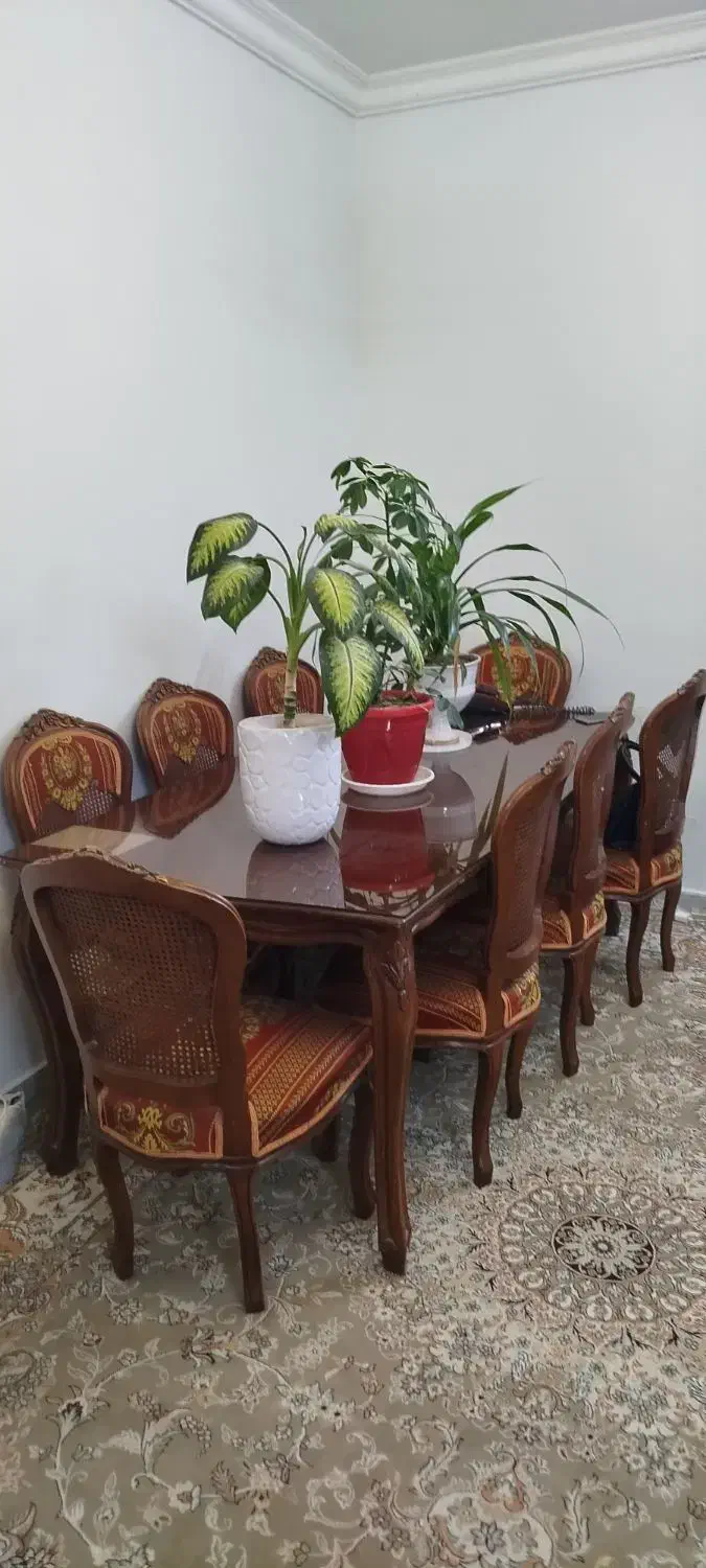 میز نهارخوری تمام چوب 8 نفره|میز و صندلی غذاخوری|شاندیز, |دیوار