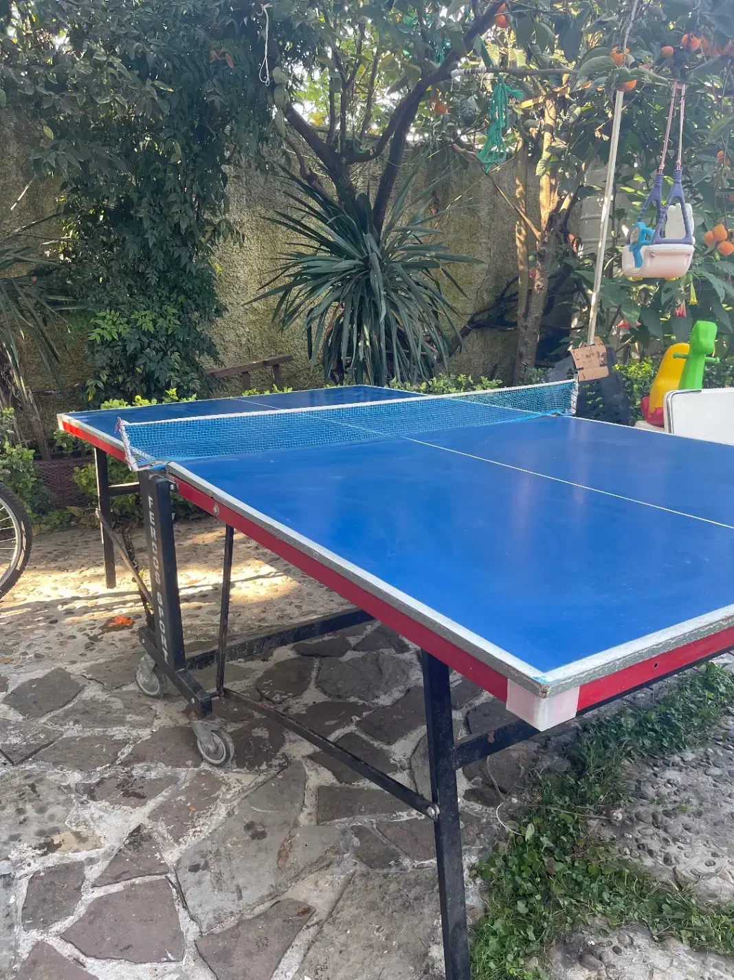 میز تنیس روی میز|ورزشهای توپی|چالوس, |دیوار