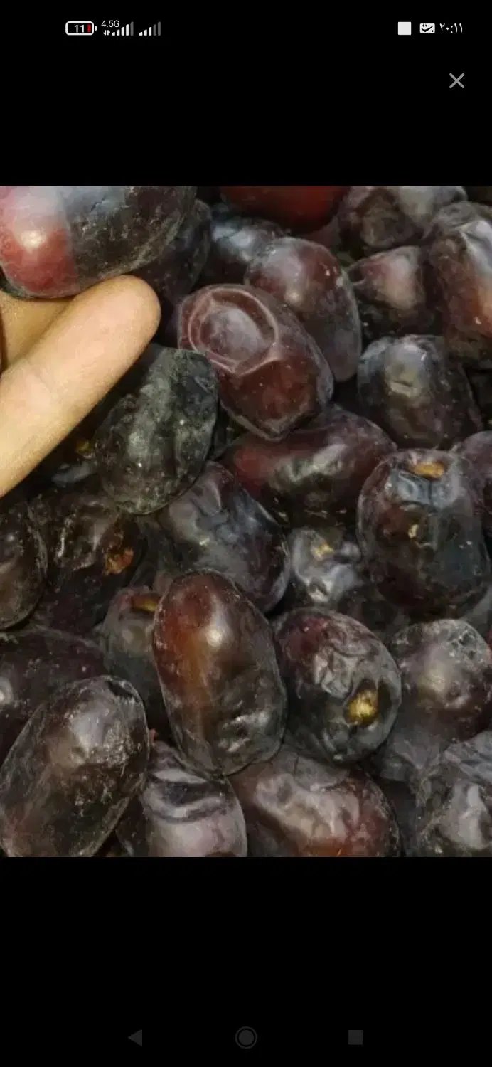 خرما|خوردنی و آشامیدنی|بم, |دیوار