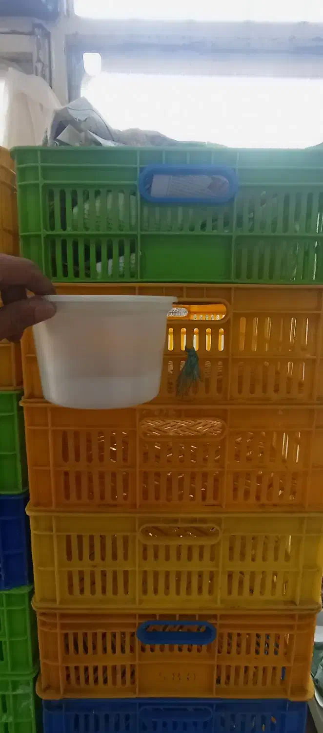 ظرف ماستی|فروشگاه و مغازه|قم, سراجه (۱۵ خرداد)|دیوار