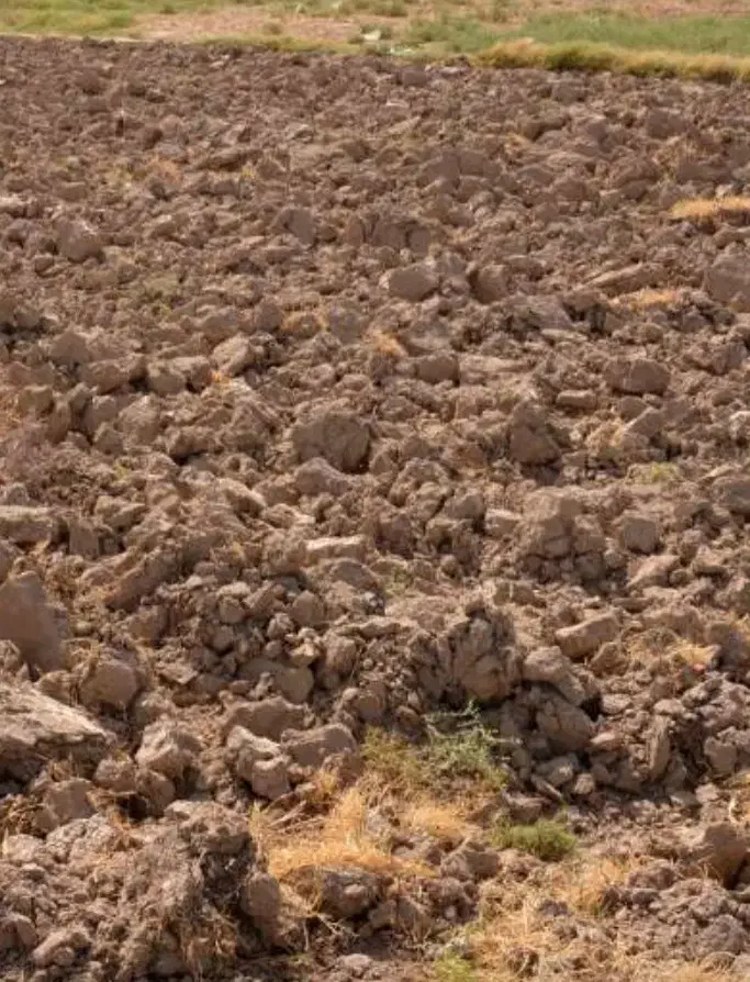 کشاورزی|فعالیت داوطلبانه|سنندج, |دیوار