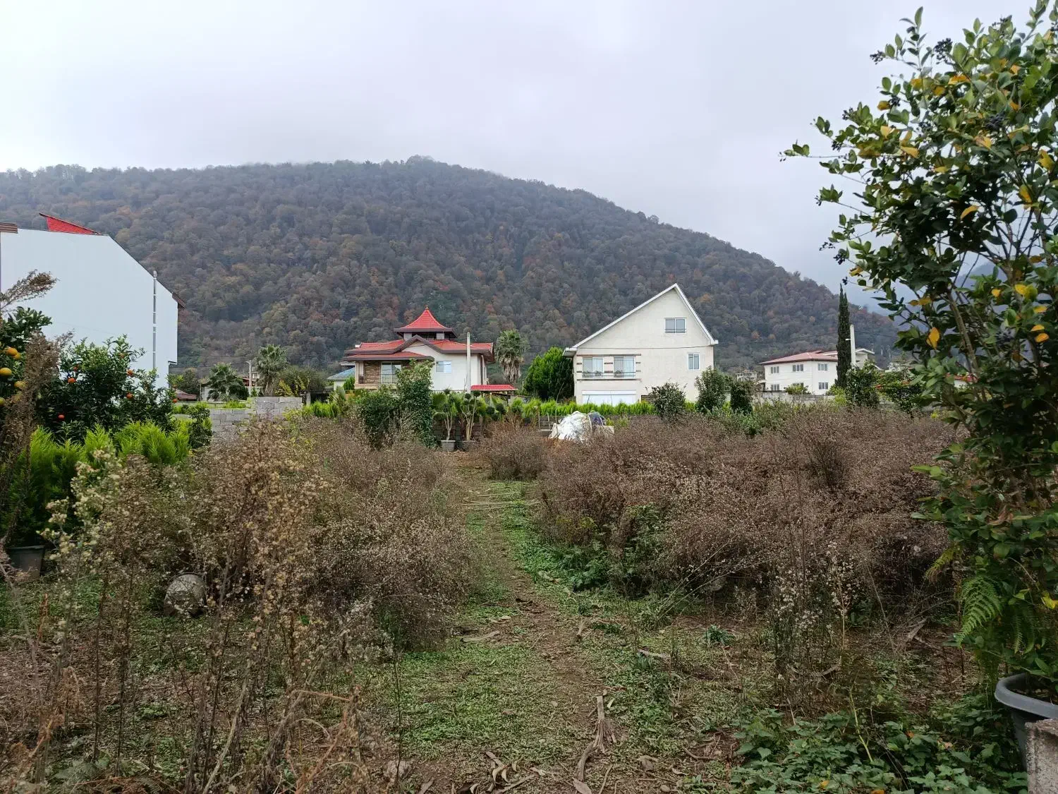 فروش زمین ۳۰۰ متری مسکونی منطقه سرولات|فروش زمین و ملک کلنگی|چابکسر, |دیوار