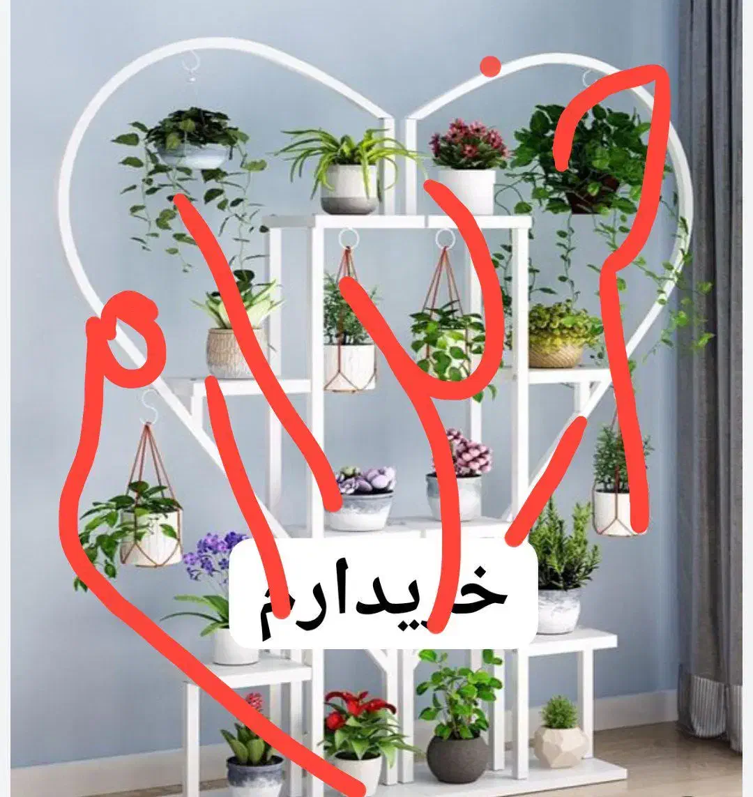 استند گل.فلزی.درطراح ها دیگه|گل و گیاه طبیعی|مرند, |دیوار