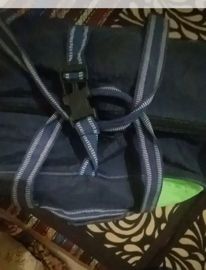 فروش ساک|کیف، کفش، کمربند|اهواز, کوی نیرو|دیوار