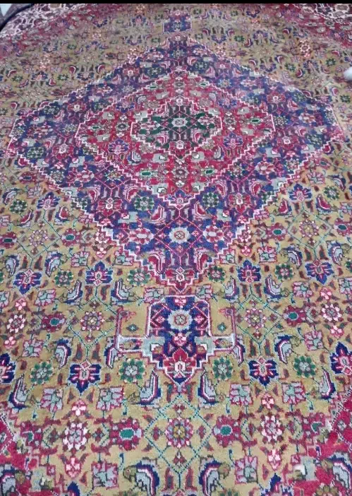 تک 12متری دستباف طرح ماهی رنگ کم یاب|فرش|تهران, آرژانتین|دیوار