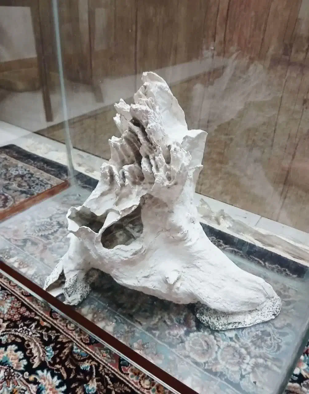 اکواریوم شیشه خم|ماهی|فردیس, فردیس|دیوار