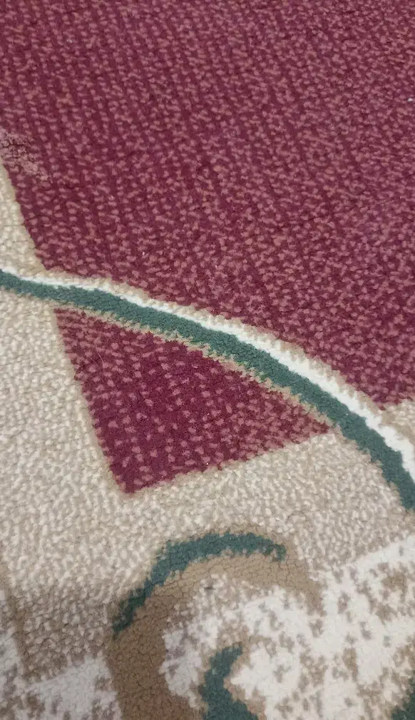 فرش ۶متری|فرش|اسفراین, |دیوار