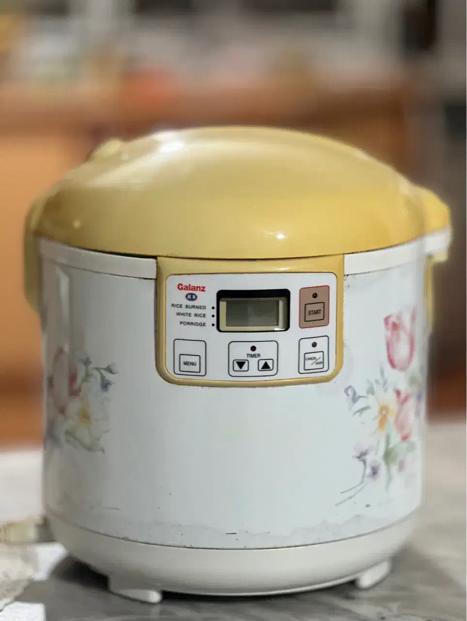 پلوپز|اجاق گاز و لوازم برقی پختوپز|تالش, هشتپر|دیوار