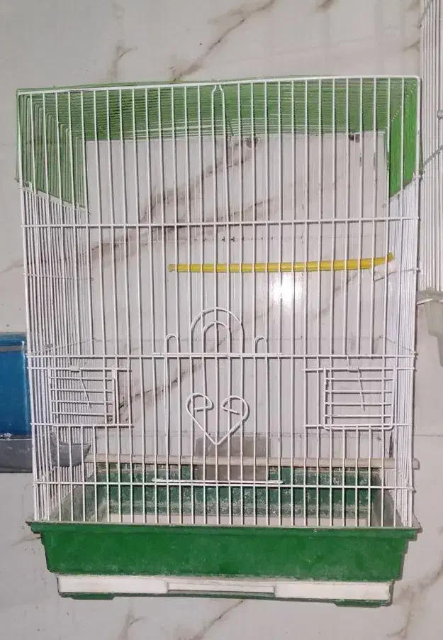 ۶ عدد قفس بزرگ تاشو|لوازم جانبی حیوانات|قرچک, زیبا شهر|دیوار