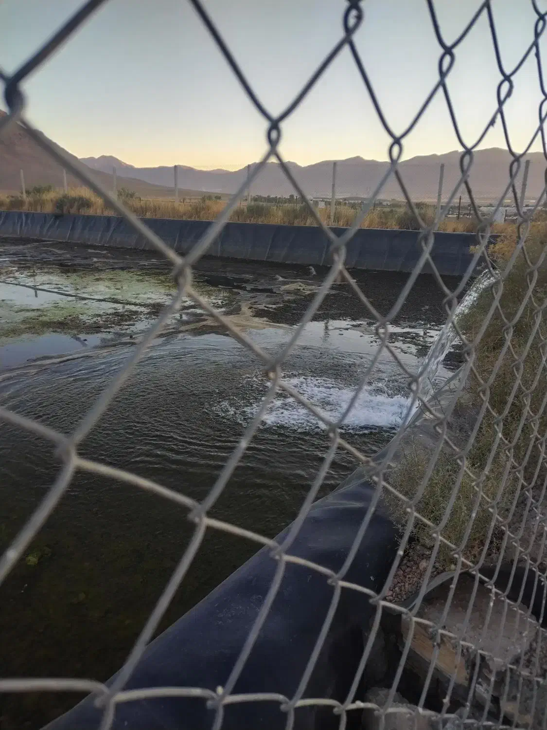 80جریب زمین کشاورزی واقع در دهاقان|فروش دفتر صنعتی، کشاورزی، تجاری|دهاقان, |دیوار