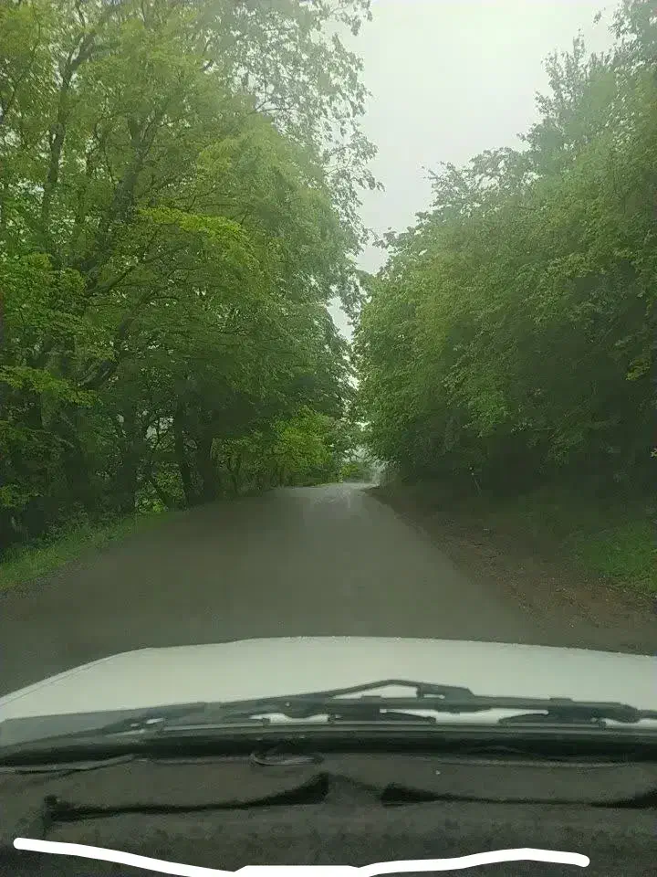 زمین در بهترین منطقه حیران نزدیک رودخانه و چشمه آب|فروش خانه و ویلا|آستارا, |دیوار