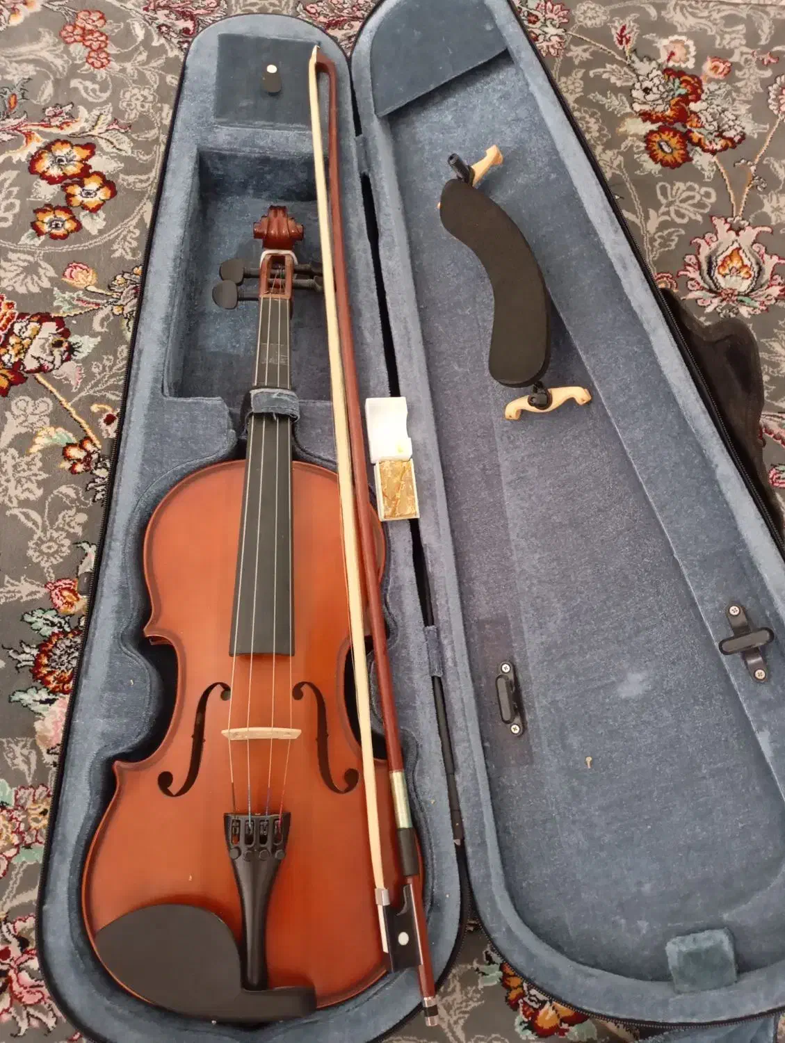 ویولن|ویولن|بجنورد, |دیوار