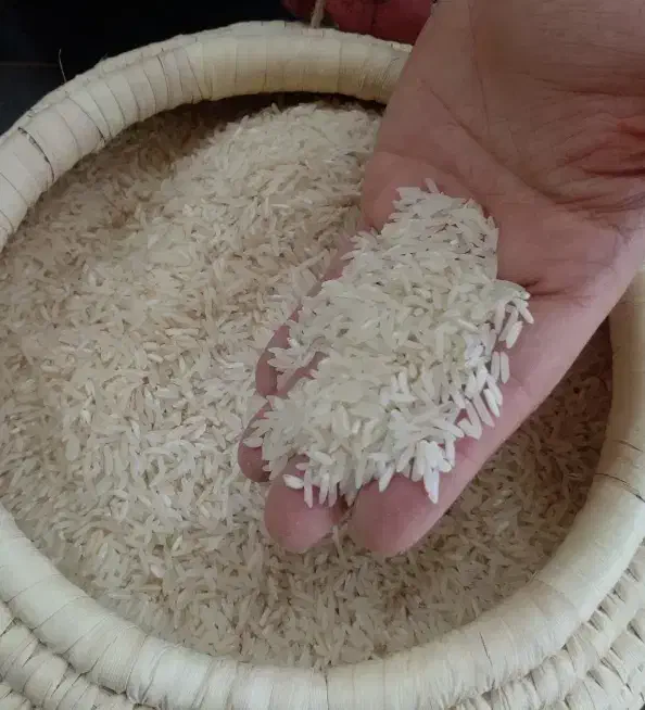 برنج هاشمی تا لش درجه یک و نمونه شمال ازخود کشاورز|خوردنی و آشامیدنی|تهران, طرشت|دیوار