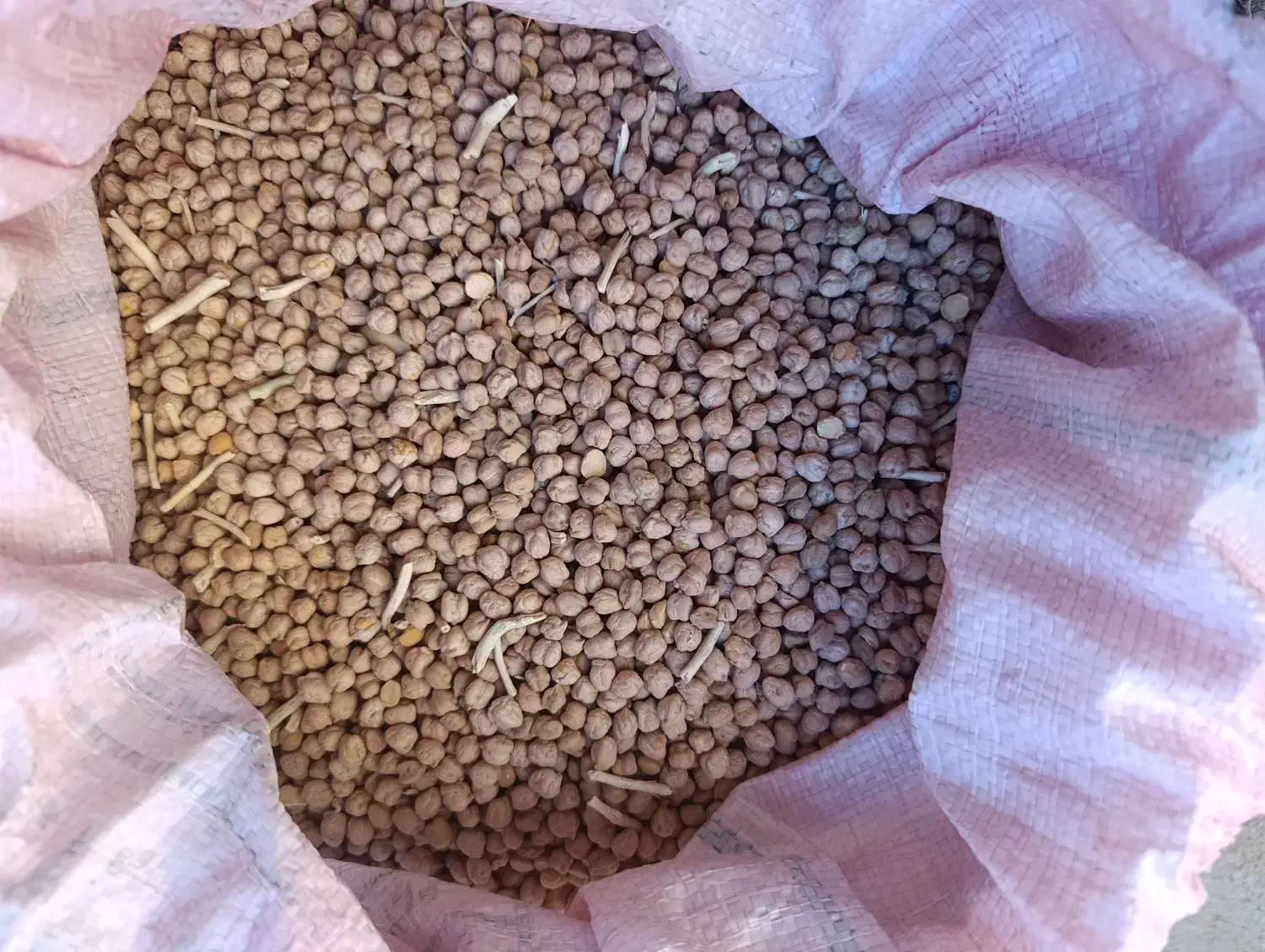 نخود درجه 1امسال|خوردنی و آشامیدنی|موچش, |دیوار