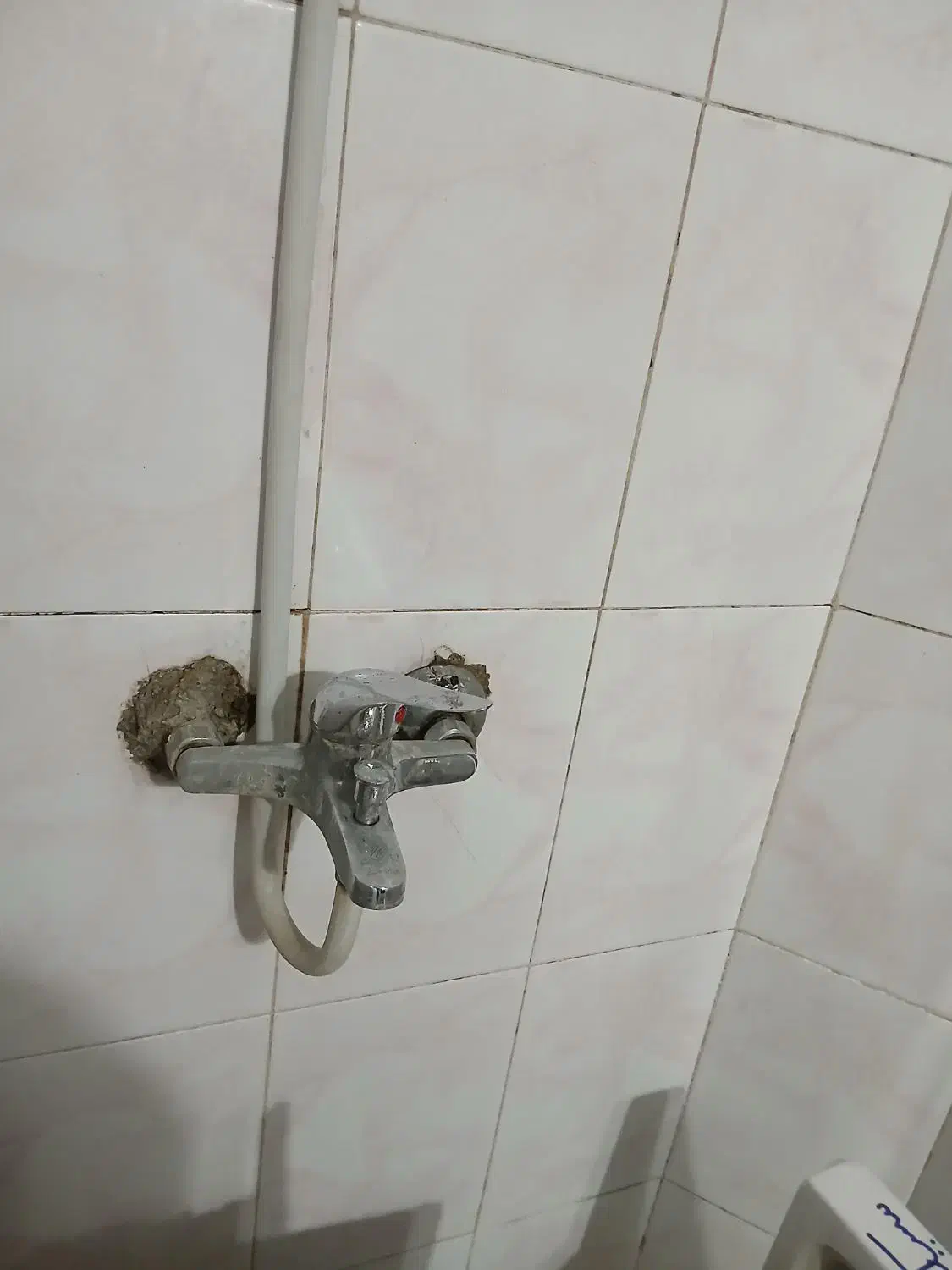 شیرالات|لوازم سرویس بهداشتی|رشت, کاکتوس|دیوار