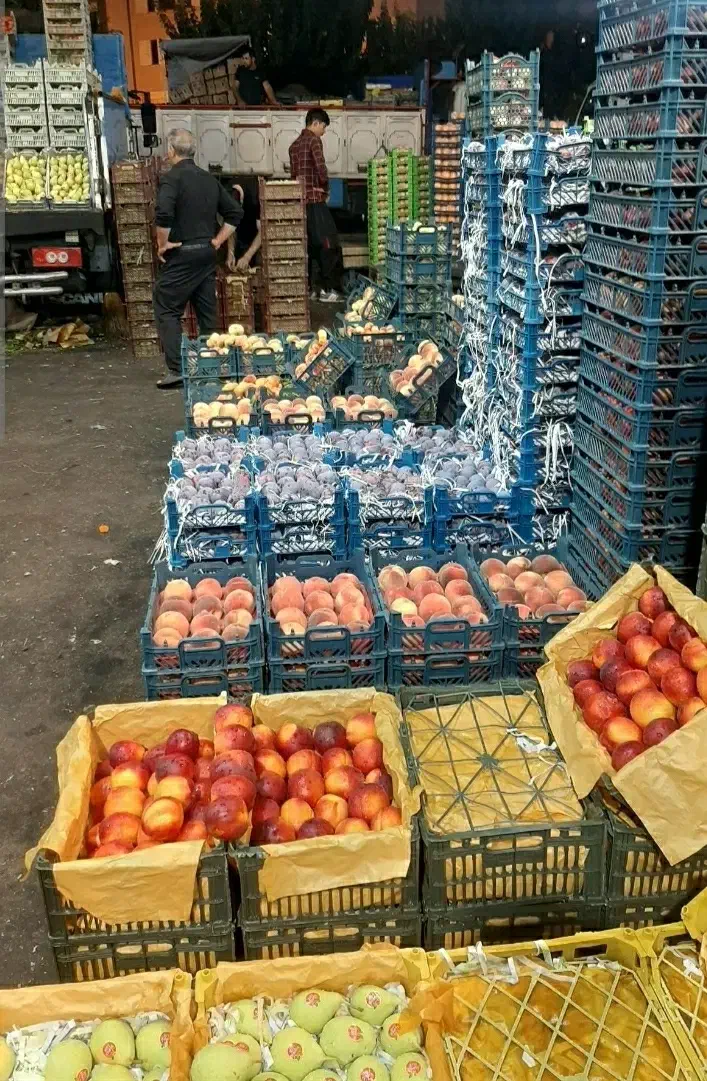 میوه تره بار و سبزیجات تازه|عمدهفروشی|سلفچگان, |دیوار