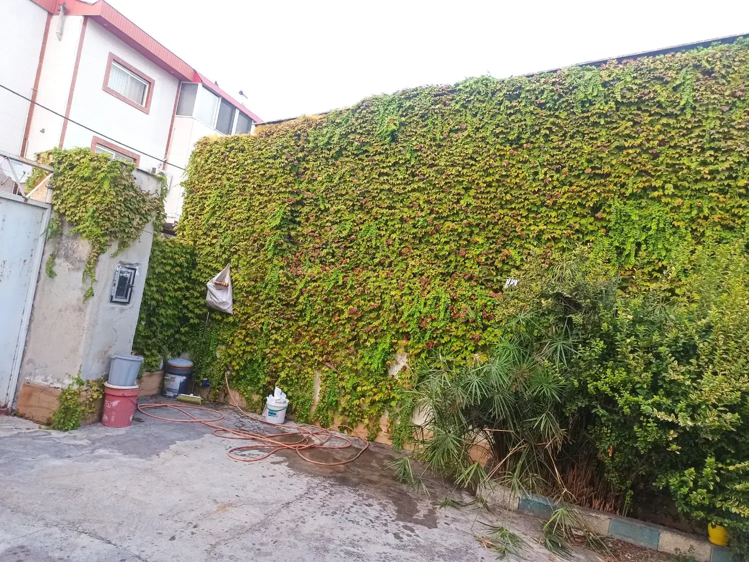 فروش خانه ویلایی مزرعه کتول|فروش خانه و ویلا|علیآباد کتول, |دیوار