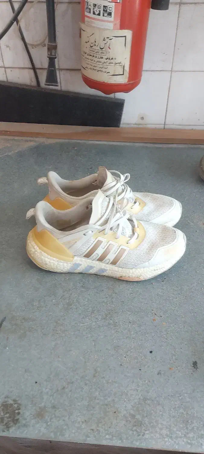 کفش|کیف، کفش، کمربند|گنبد کاووس, |دیوار