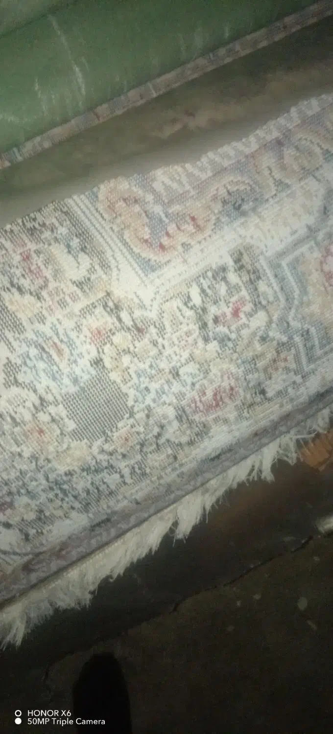 فرش 12متری|فرش|علی‌آباد کتول, |دیوار