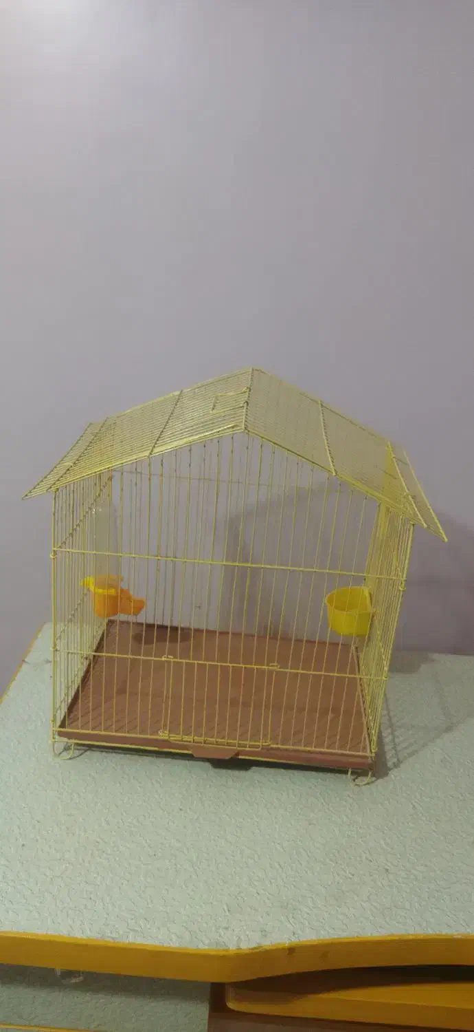 قفس|لوازم جانبی حیوانات|تهران, علیآباد|دیوار