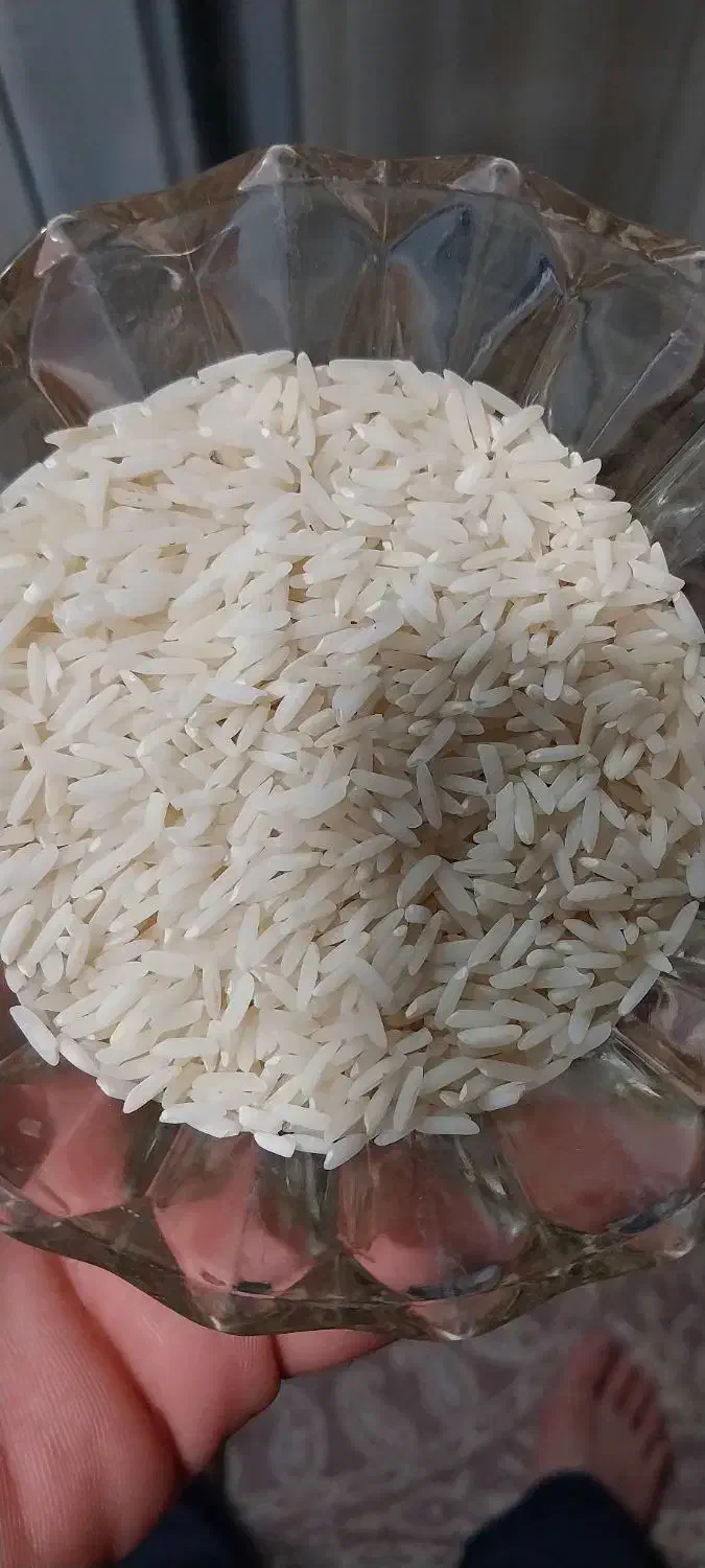 برنج هاشمی  سورتینگ شده|خوردنی و آشامیدنی|رشت, کوی غلام نیا|دیوار