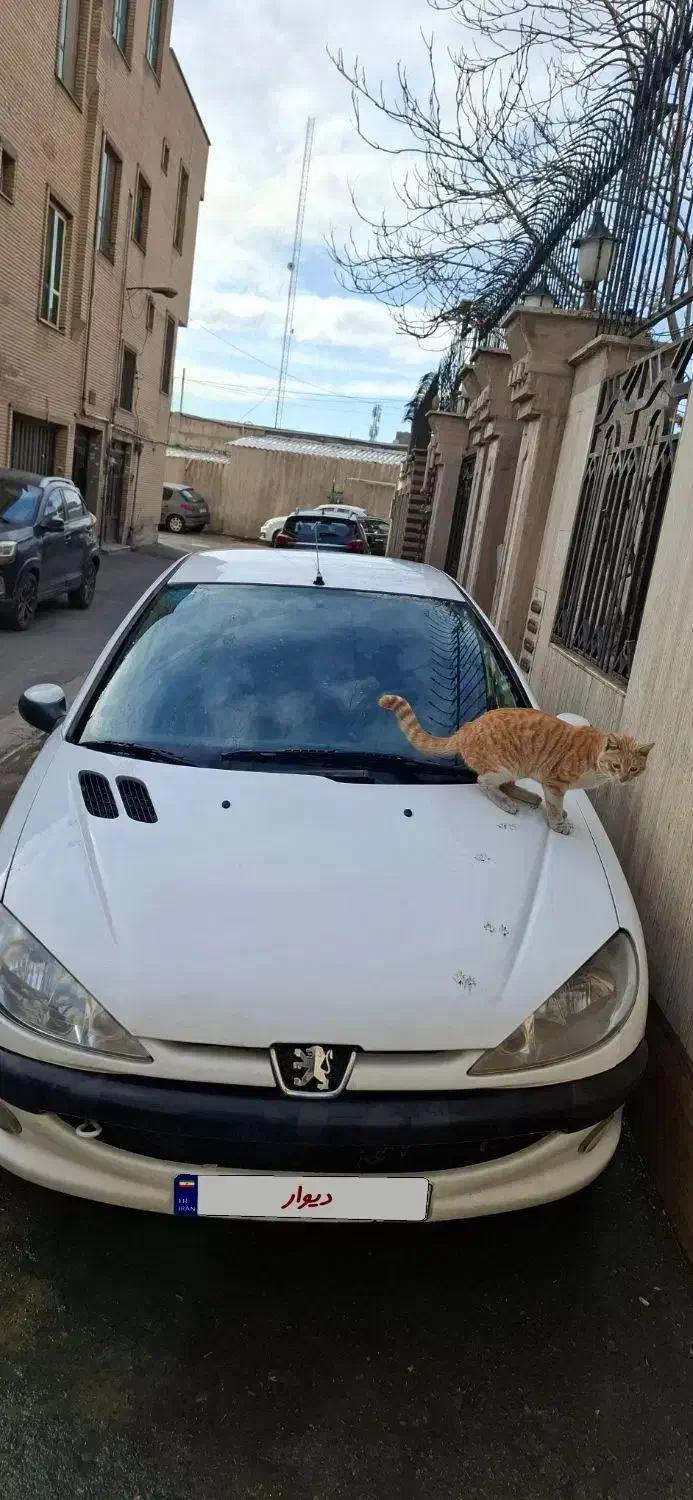 پژو ۲۰۶ تیپ ۲ مدل ۹۰ عروسک|خودرو سواری و وانت|تهران, چوب تراش|دیوار
