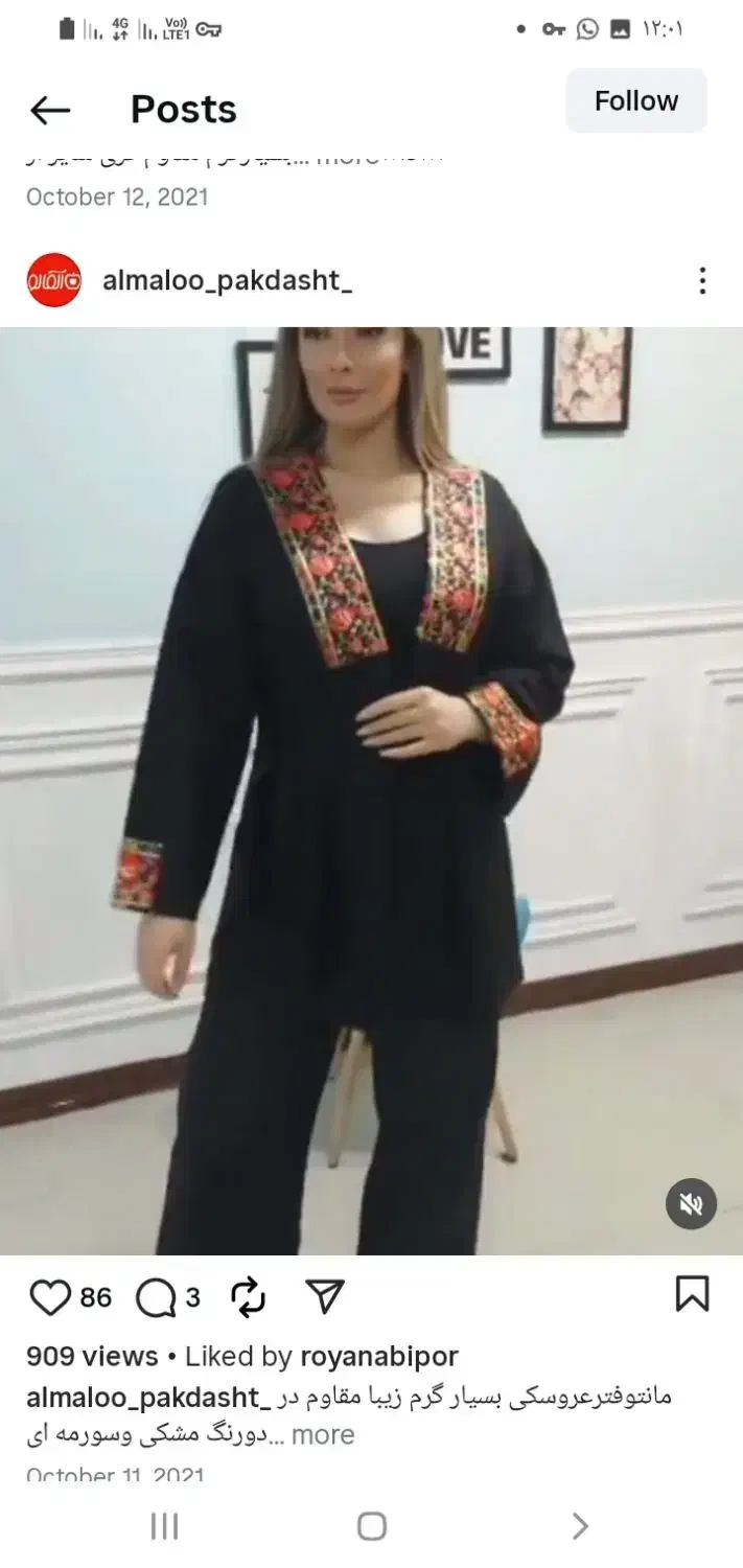 مانتو پالت فتر|لباس|پیشوا, |دیوار