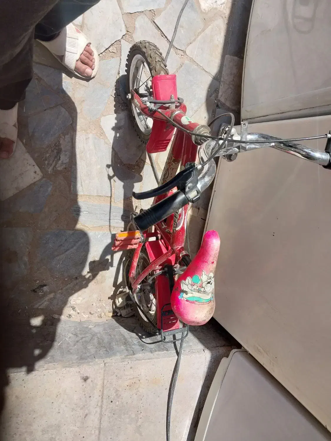 دوچرخه ۱۲|دوچرخه، اسکیت، اسکوتر|بیرجند, |دیوار