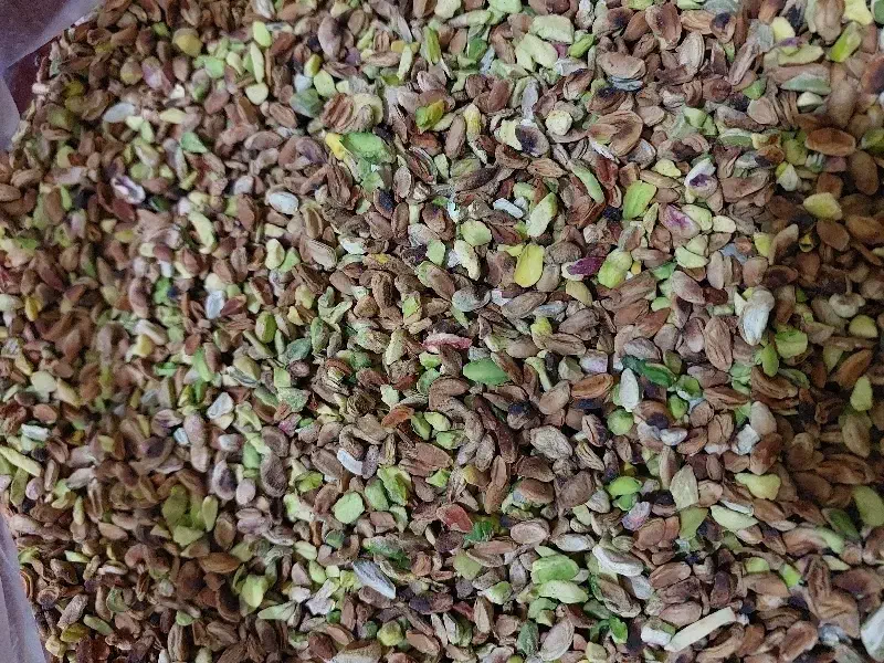 مغز شکسته و گندمی تازه و امسالی|حراج|بندرعباس, |دیوار