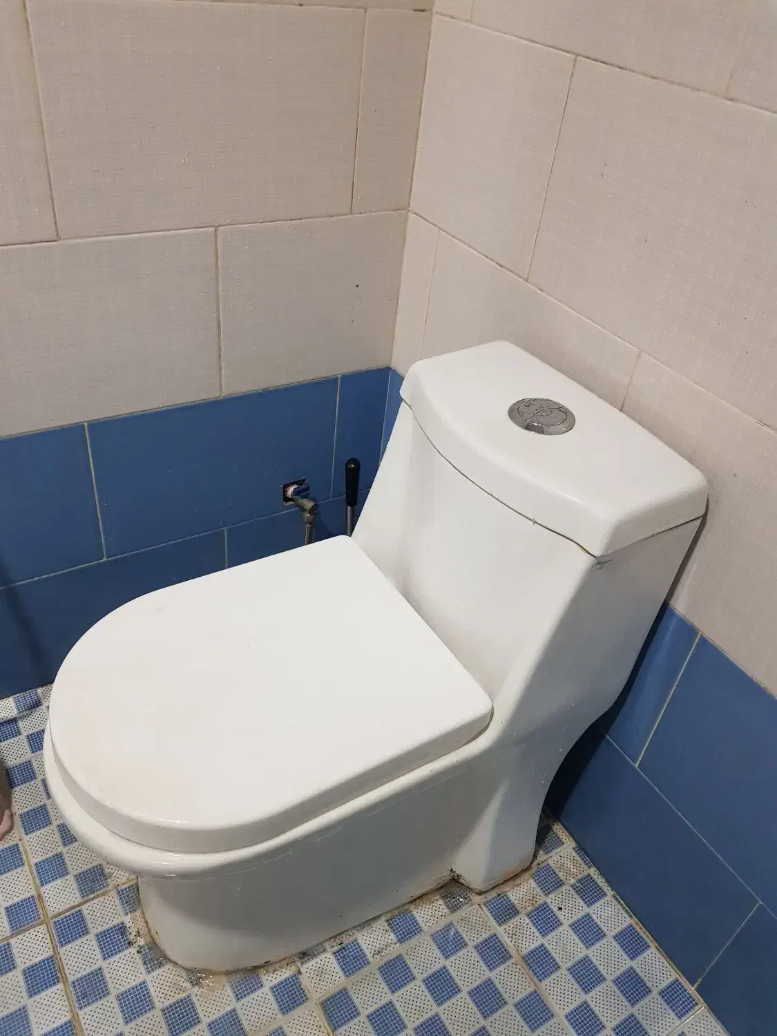 توالت فرنگی|لوازم سرویس بهداشتی|تبریز, |دیوار