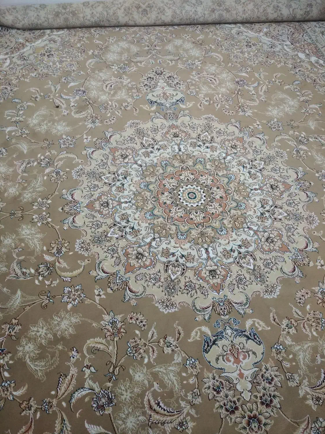 قالی ۱۲ متری|فرش|شیراز, کوی زهرا|دیوار