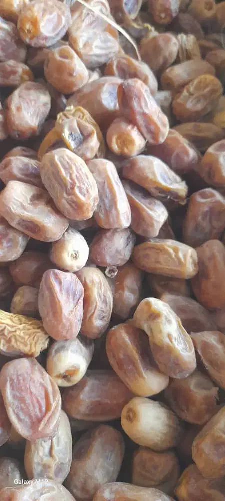 قصب درجه یک عالی|خوردنی و آشامیدنی|وحدتیه, |دیوار