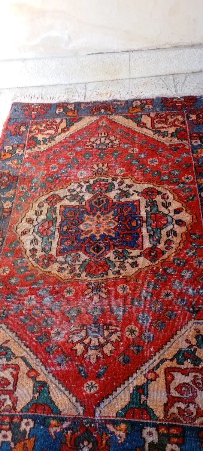 فرش دست بافت قدیمی|فرش|شیراز, کوشک میدان|دیوار