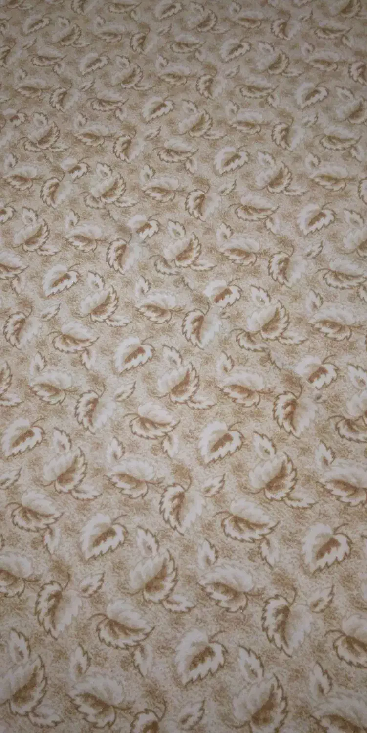 موکت|موکت|پاکدشت, پاکدشت (مامازند)|دیوار