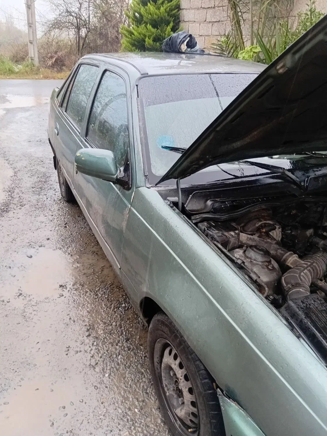 دوو سیلو|خودرو سواری و وانت|رودسر, |دیوار