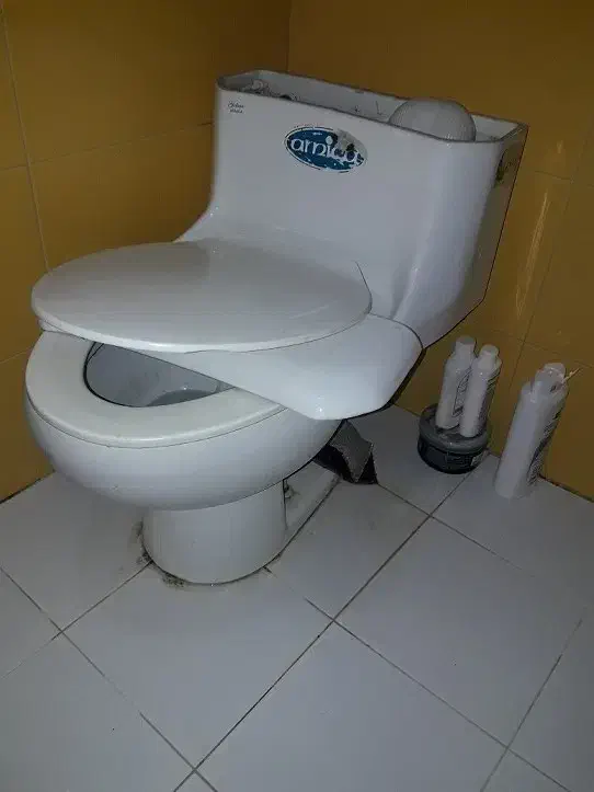 فروش توالت فرنگی برند گلسار|لوازم سرویس بهداشتی|قائمشهر, |دیوار